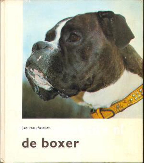 Boxer - Rheenen