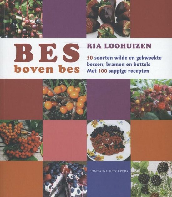 Bes boven bes - Ria Loohuizen