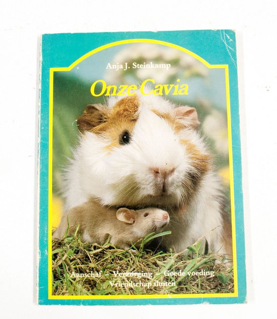 Onze cavia - Steinkamp
