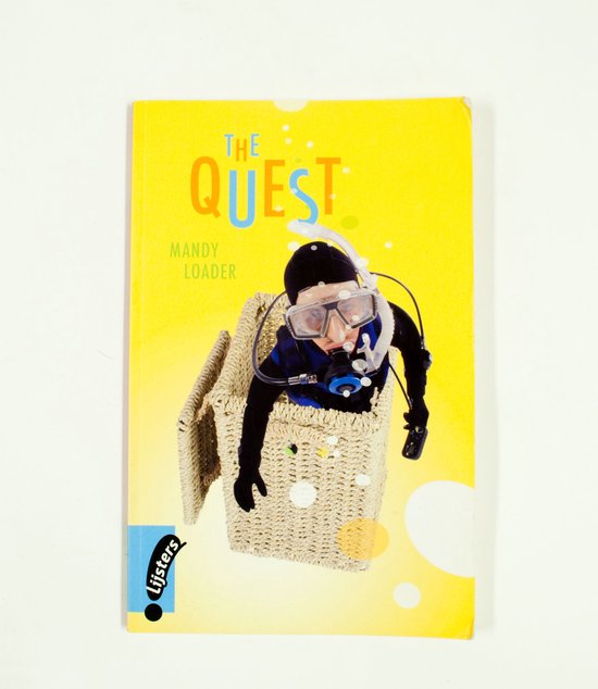 The quest - Mandy Loader