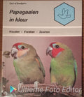 Papegaaien in kleur - Enehjelm