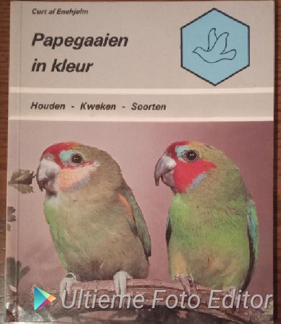 Papegaaien in kleur - Enehjelm