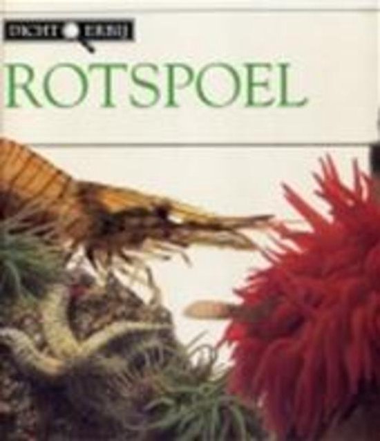 Dicht erbij rotspoel - Christiane Heggan