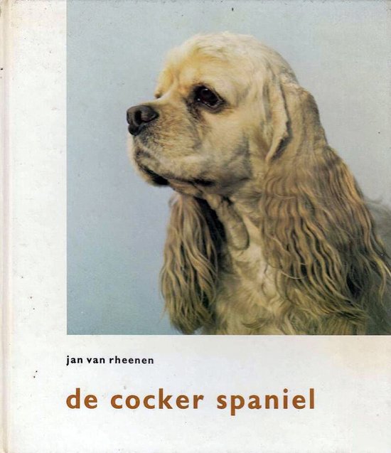 Cocker spaniel - Jan van Rheenen