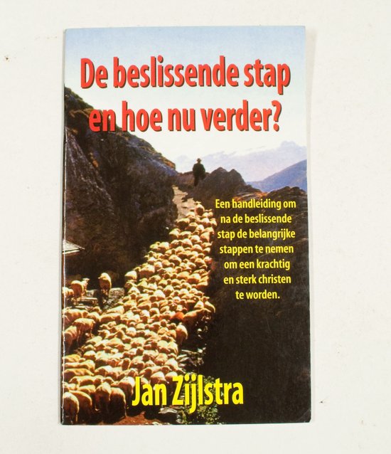 Beslissende stap, de - Jan Zijlstra