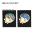 Beelden in ons brein - Posner