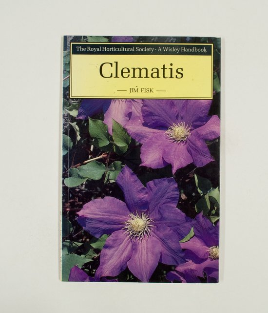 Clematis - Jim Fisk
