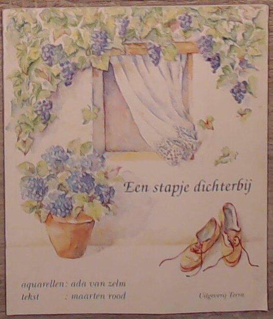Stapje dichterbij - Ada van Zelm, Maarten Rood