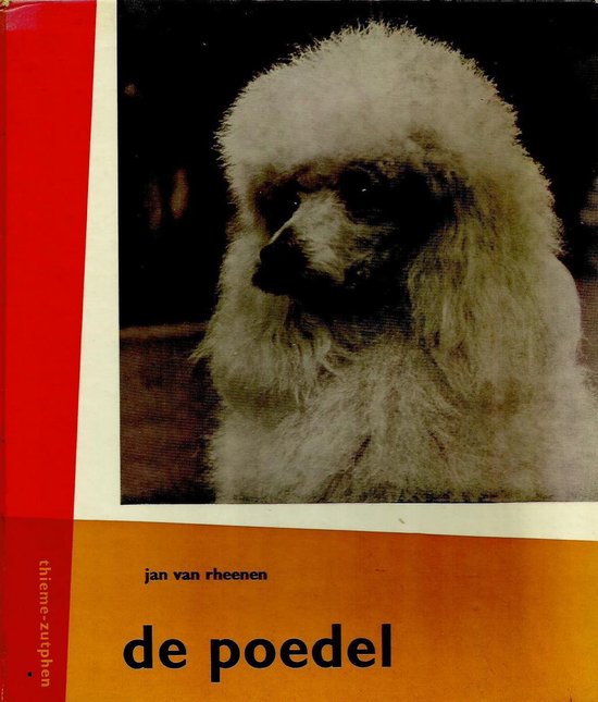Poedel - Rheenen