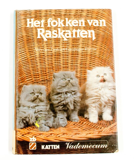 Het fokken van raskatten - Lookeren Campagne Taverne