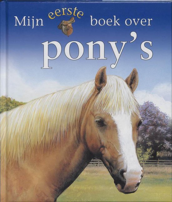Mijn Eerste Boek Over Pony's - Jackie Budd
