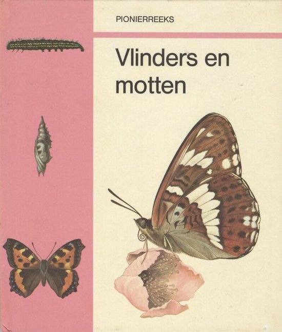 Vlinders en motten