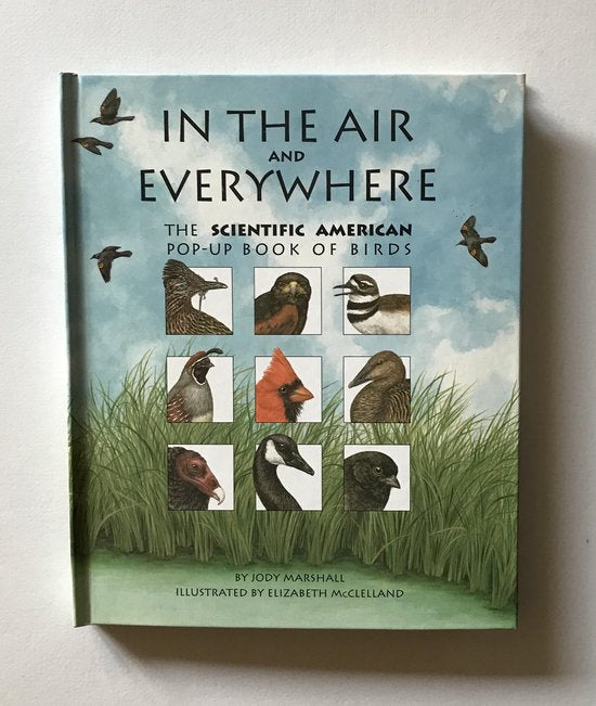 In the Air and Everywhere - Jody Marshall