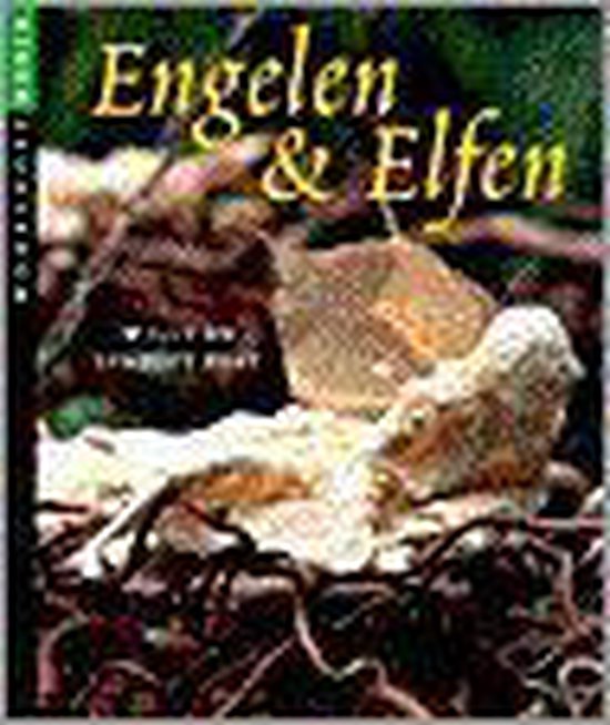 Engelen En Elfen - W. Post