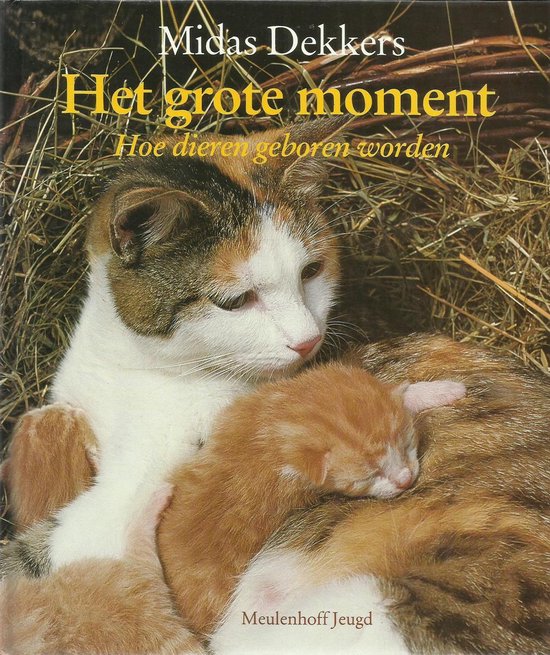 Het grote moment - Midas Dekkers