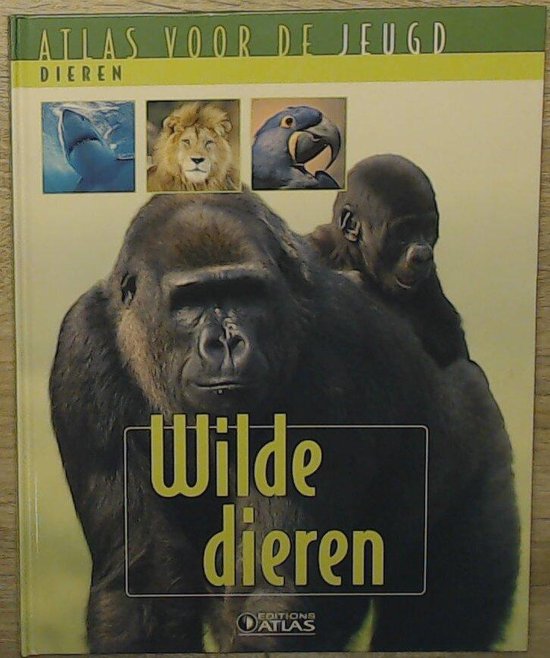 Wilde dieren - KOLEKTIV