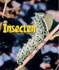 Jonge dieren - Insecten - Rod Theodorou