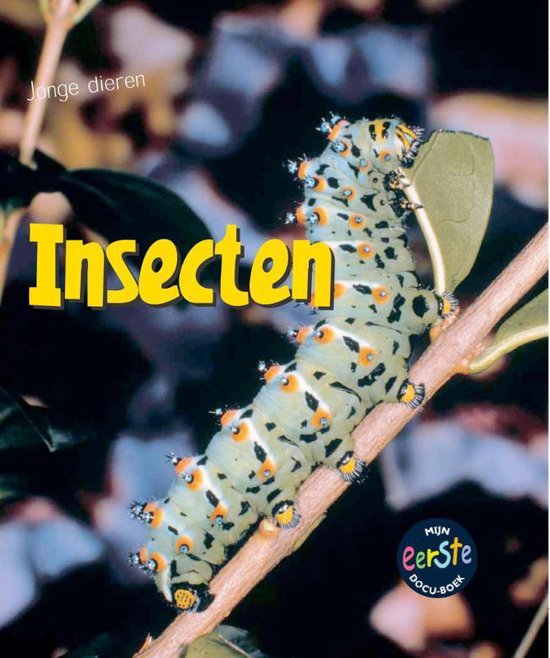 Jonge dieren - Insecten - Rod Theodorou