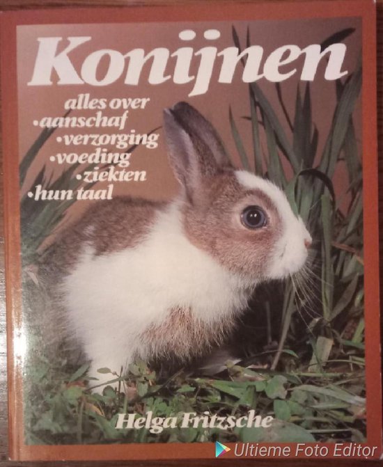 Konijnen - Helga Fritzsche