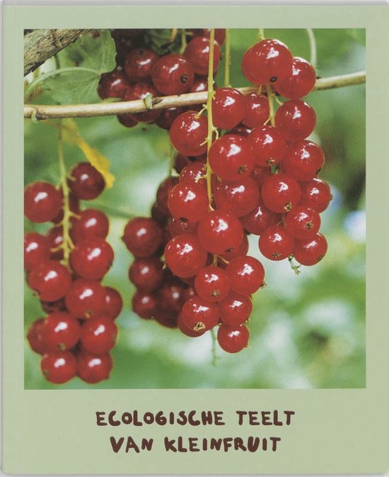 De ecologische teelt van kleinfruit - Guy Buysse, Bart Maes