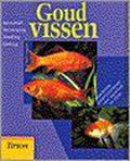 Goudvissen - Peter Stadelmann