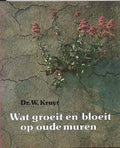 Wat bloeit en groeit op oude muren - Kruyt