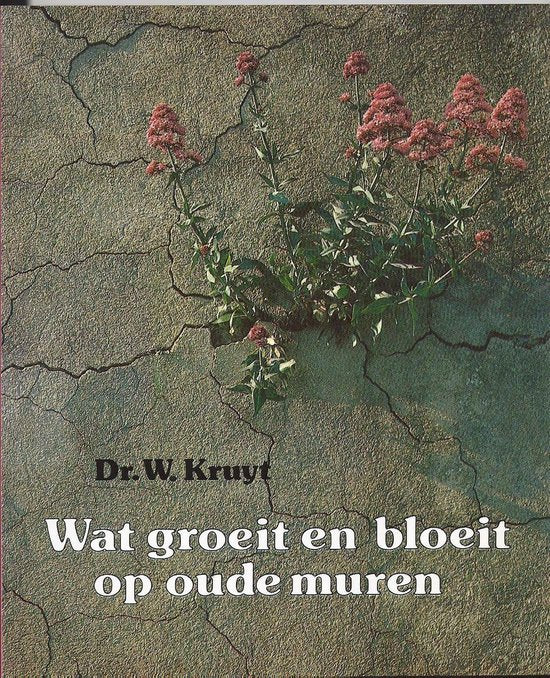 Wat bloeit en groeit op oude muren - Kruyt