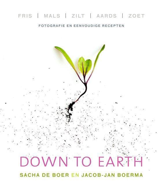 Down to Earth - Sacha de Boer