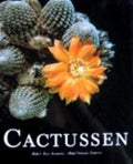 CACTUSSEN - Vincent Cerutti