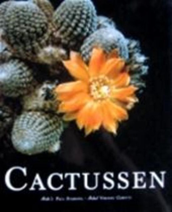 CACTUSSEN - Vincent Cerutti