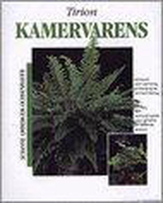 Kamervarens - Amberger