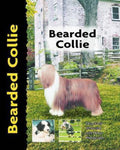 Bearded Collie - Bryony Harcourt - Brown