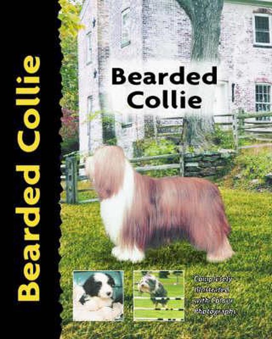 Bearded Collie - Bryony Harcourt - Brown