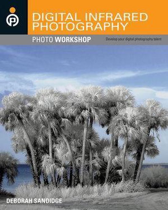 Digital Infrared Photography - Deborah Sandidge
