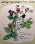 Achter het rimpelend licht - Jaap Zijlstra, Annebet Stam