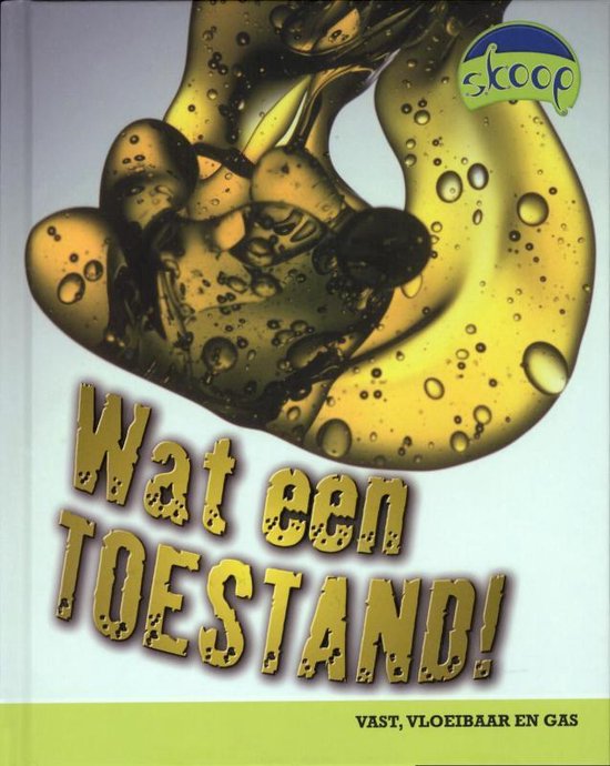 Skoop - Wat een toestand - Buffy Silverman