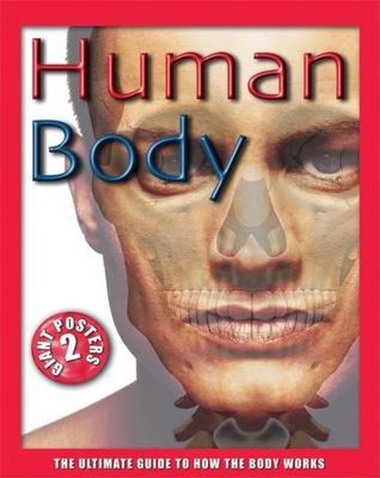 Human Body - John Farndon, Alex Pang