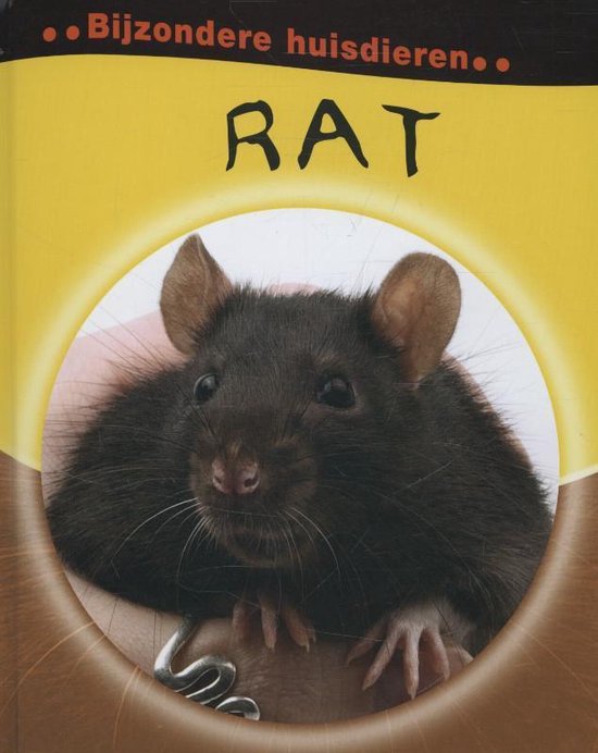 Bijzondere huisdieren - Rat - Deborah Chancellor