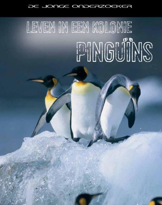 Leven in een ... - Leven in een kolonie pinguins - Richard Spilsbury, Louise Spilsbury