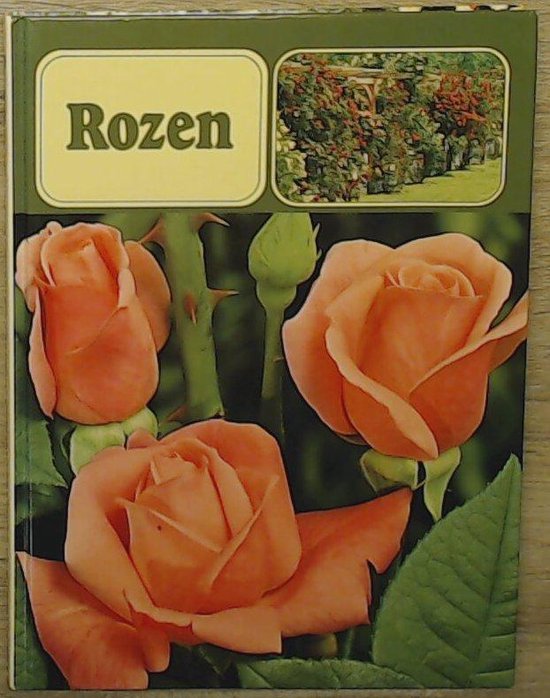 Rozen - R.H. Fuchs