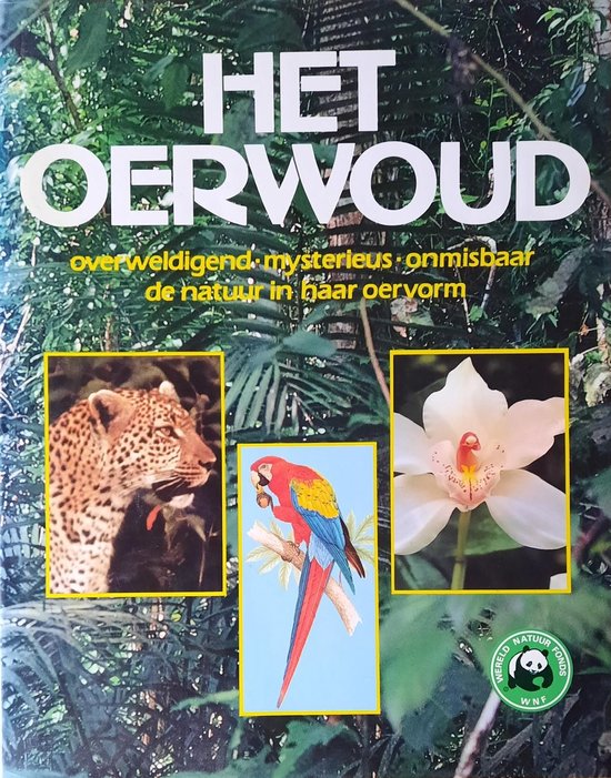 Oerwoud - Ayensu E.S. - Ayensu E.S., Henri Pieter Rensenbrink