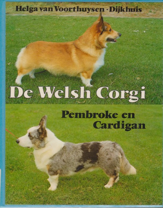 Welsh corgi - Voorthuyzen Dykhuis