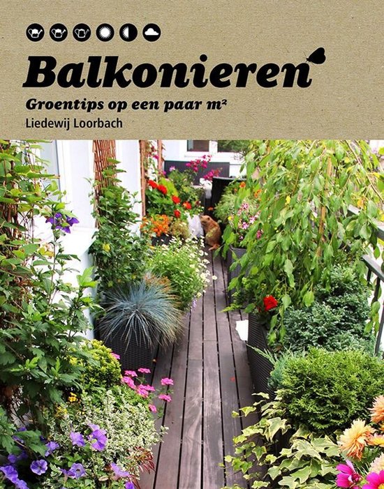 Balkonieren - Liedewij Loorbach