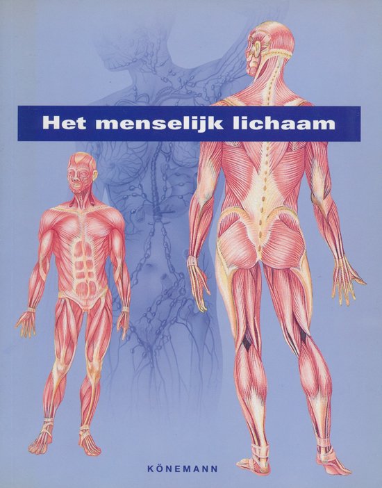 Het menselijk lichaam - Francisco Asensio Cerver (samensteller), ARCO Editorial team (illustraties)