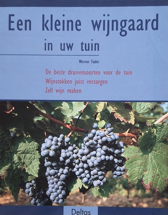 Kleine Wijngaard In Uw Tuin - Fader Werner