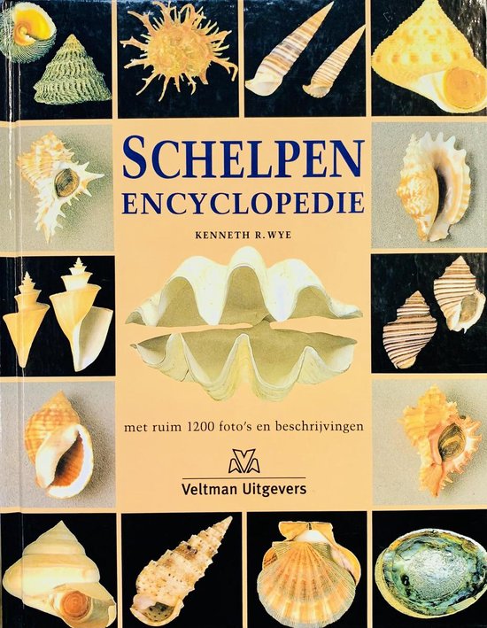 Schelpen Encyclopedie - Kenneth R. Wye