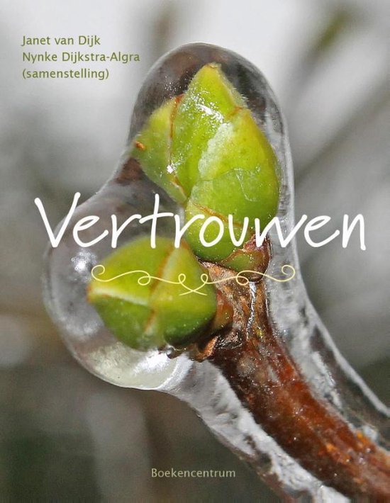 Vertrouwen - Janet van Dijk, Nynke Dijkstra - Algra