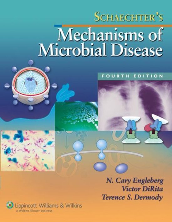 Schaechter'S Mechanisms Of Microbial Disease - Moselio Schaechter, Victor Dirita
