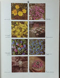 2000 Tuin/Kas en Kamerplanten in Kleur - Hay, Patrick M. Synge