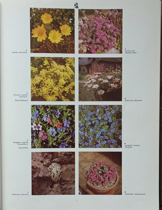 2000 Tuin/Kas en Kamerplanten in Kleur - Hay, Patrick M. Synge